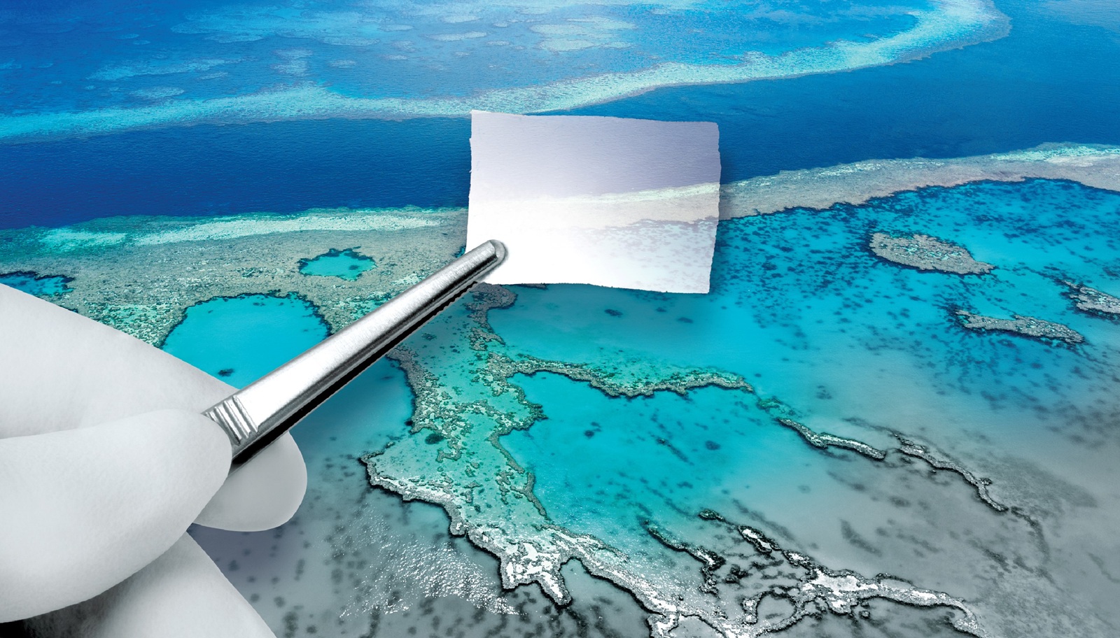 Surgical applicator deploying a thin translucent collagen membrane over an aerial view of the Great Barrier Reef, visually demonstrating the flexibility and scale of the medical device