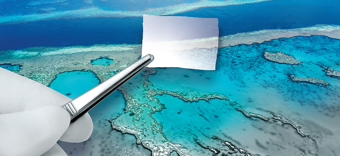 Surgical applicator deploying a collagen membrane sheet over an aerial view of the Great Barrier Reef, illustrating the scale and flexibility of Orthocell's collagen medical device