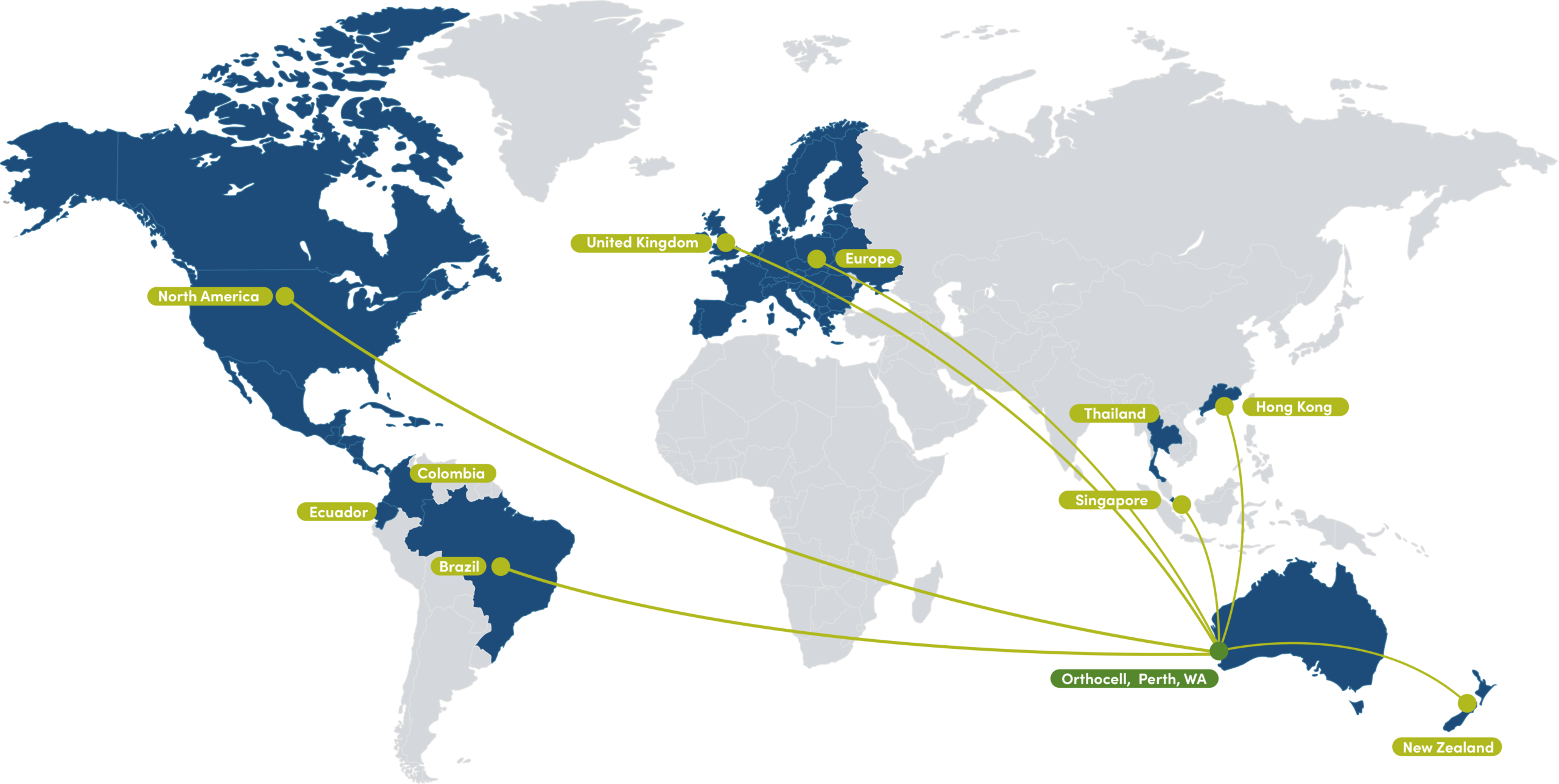 World map showing Orthocell's global distribution network, with lines connecting from Orthocell headquarters in Perth, Australia to regions including North America, Europe, Africa, Asia and New Zealand